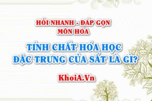 Tính chất hóa học đặc trưng của Sắt (Fe) là gì? Hỏi nhanh đáp gọn môn Hóa